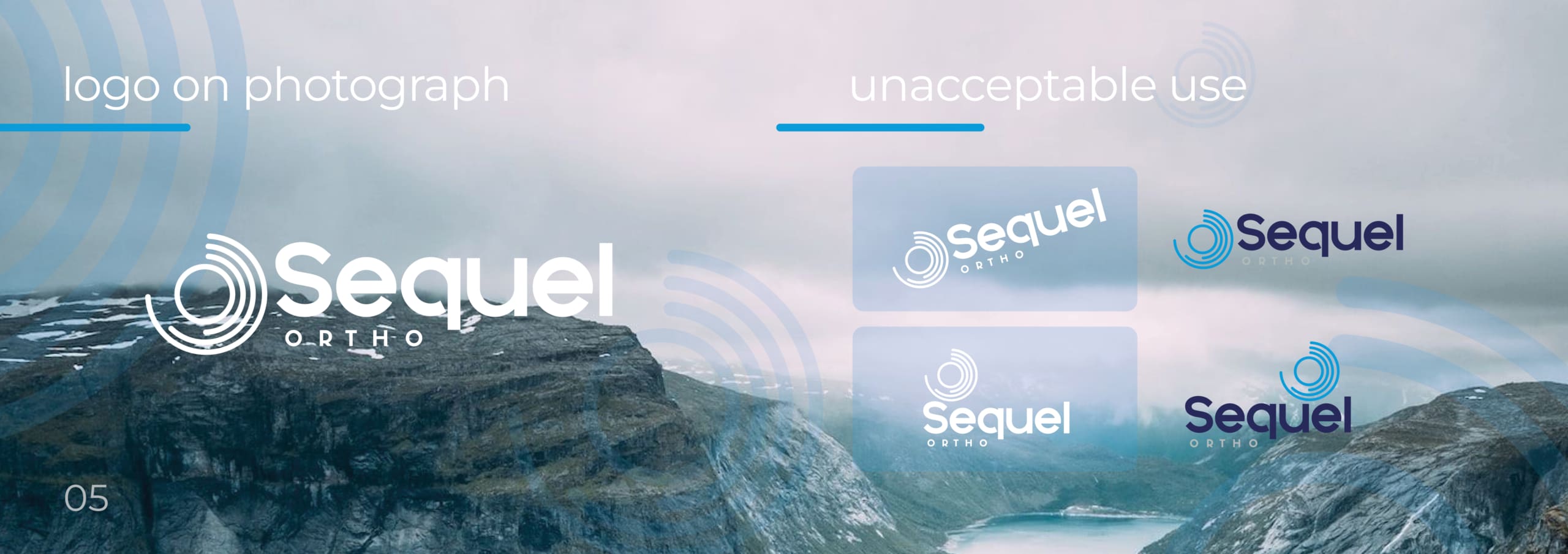 Sequel Ortho-Brand-Guide-R37 Sequel Ortho